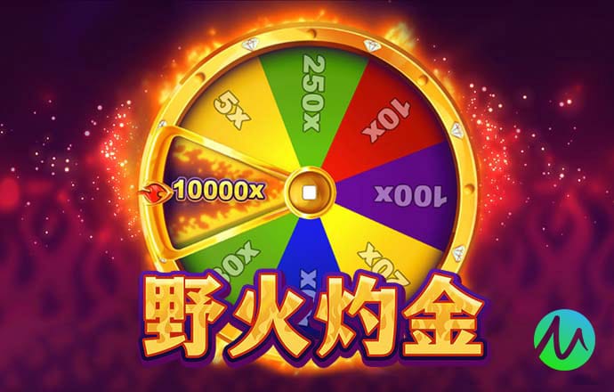 真相来了，中国最好大学的毕业生都去了哪里？
